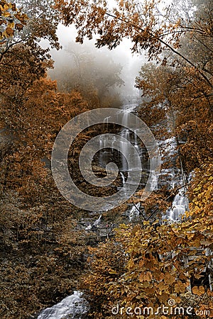 Amicalola Falls in Autumn colors in northern Georgia. Stock Photo