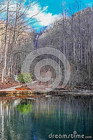 Amicalola Falls in the Distance Stock Photo