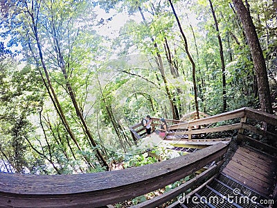 Amicalola Falls Stock Photo