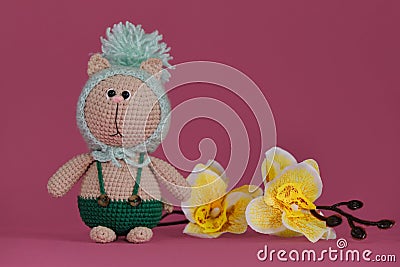 Amigurumi kitten doll on pink background next to yellow orchid flowers. A soft DIY toy made of cotton. One brown cat Stock Photo