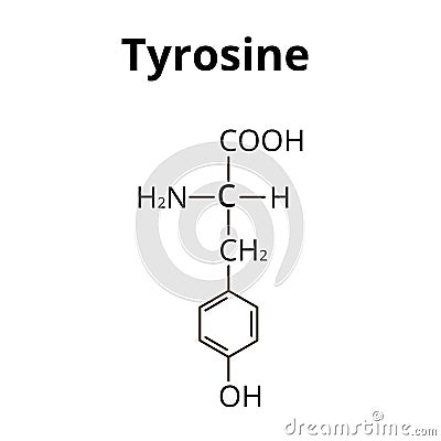 The amino acid Tyrosine. Chemical molecular formula of Tyrosine amino acid. Vector illustration on isolated background Vector Illustration