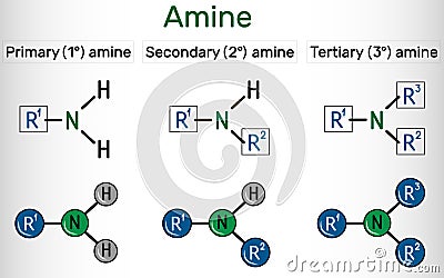 Amino group (primary, secondary, tertiary). It is functional group comprised of nitrogen atom linked with a lone pair Vector Illustration