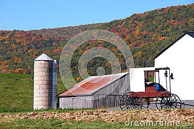 Amish Barn with a Buggie Stock Photo