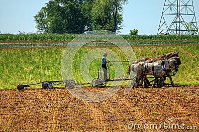 Amish Boy Plowing the Field with 5 Horses Pulling Plow to Turn Over Fields to get Ready for Planting Editorial Stock Photo