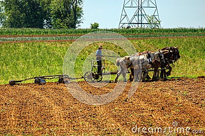 Amish Boy Plowing the Field with 5 Horses Pulling Plow to Turn Over Fields to get Ready for Planting Editorial Stock Photo