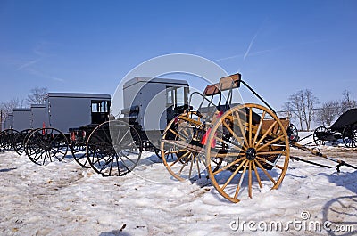 Amish Buggies and Carts Stock Photo