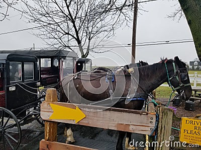 Amish Buggy Ride Stock Photo