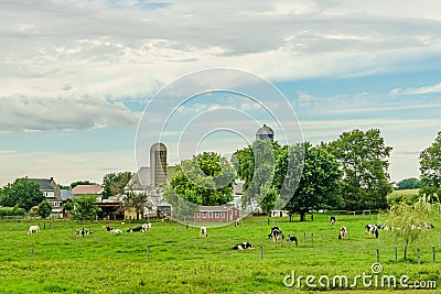 Amish country farm barn field agriculture and grazing cows in Lancaster, PA Stock Photo