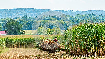 Amish country field agriculture, harvest, horse, farm, barn in Lancaster, PA US Editorial Stock Photo