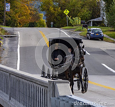 Black Horse pulls an Amish Carriage in Upper New York State during Autumn Editorial Stock Photo