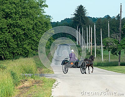 Amish Farm Woman, Horse, Buggy Editorial Stock Photo