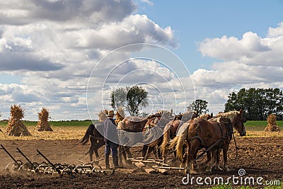 Amish Farming Editorial Stock Photo