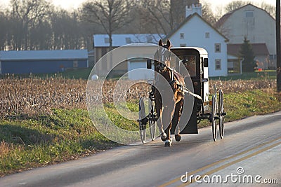 Amish horse and buggy Stock Photo