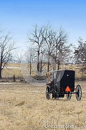 Amish horse and buggy Stock Photo