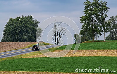 Amish Horse and Buggy Going Up a Hill Editorial Stock Photo