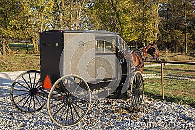 Amish horse and buggy,hitched Stock Photo