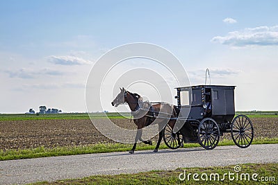 Amish horse and buggy Stock Photo