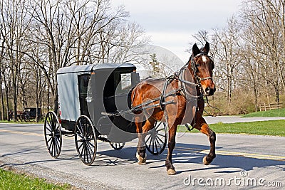 carriage amish