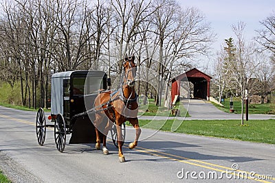 Amish Horse and Carriage Stock Photo