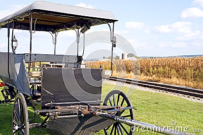 Amish horse-drawn buggy Stock Photo