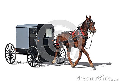 Amish horse-drawn carriage Stock Photo