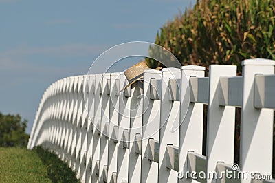 Amish straw hat laying over fence post Stock Photo