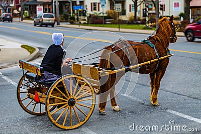 Amish Woman with Two Wheel Buggy8 Editorial Stock Photo