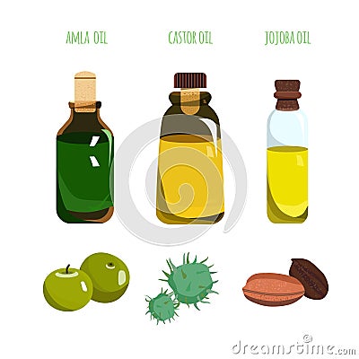 Amla, castor and jojoba oil in different glass vials. Various bottles with corks.Indian gooseberry frut.Seeds and ricinus beans. Vector Illustration