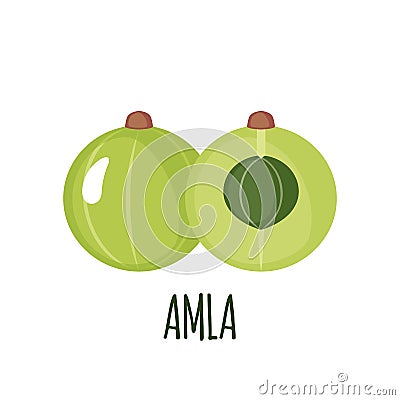 Amla icon in flat style isolated on white Vector Illustration