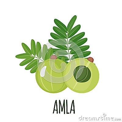 Amla icon in flat style isolated on white Vector Illustration