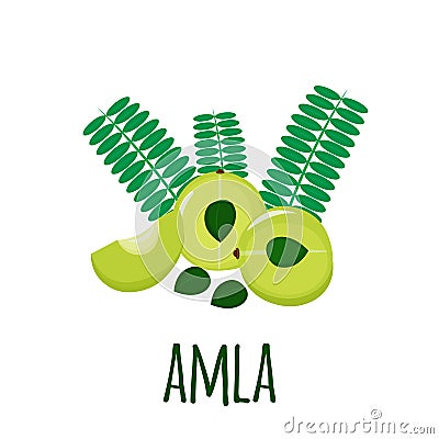 Amla, indian gooseberry, isolated on white background. Cosmetics and medical plant. Vector flat illustration. Vector Illustration