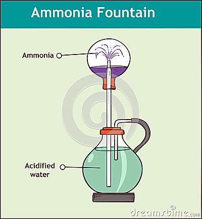 Ammonia fountain experiment to demonstrate the solubility of ammonia gas. Fully labelled diagram Vector Illustration