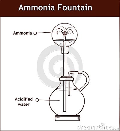 Ammonia fountain experiment to demonstrate the solubility of ammonia gas. Fully labelled diagram Vector Illustration