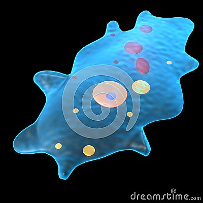 Amoeba Stock Photo