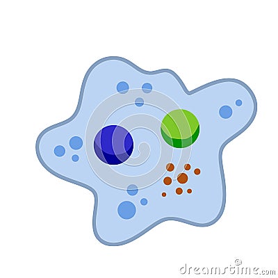 Amoeba cell. Small unicellular animal. Virus and bacteria Vector Illustration