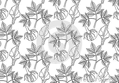 Amorphophallus konjac plant seamless pattern hand drawing outline line style. Konjak repeating texture, endless Cartoon Illustration