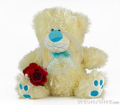 Soft toy with red rose for Valentines day Stock Photo