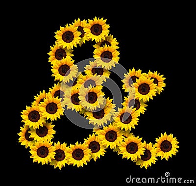 Ampersand symbol made of yellow sunflowers Stock Photo