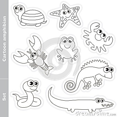Amphibian set in vector. Vector Illustration