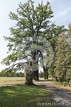 Amphitheater and monument to Silesian insurgents in Mount St. Anne, next to Opole Stock Photo