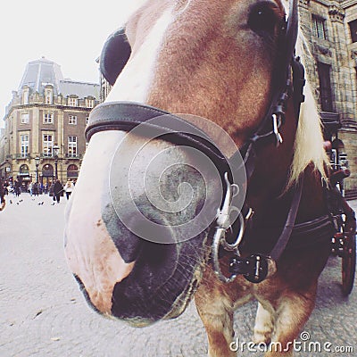 Amsterdam dam square Stock Photo