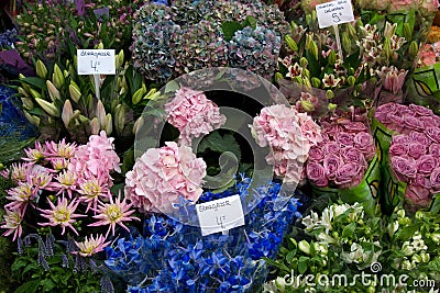Amsterdam flower market Stock Photo