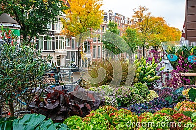 Amsterdam, Netherlands - 15.10.2019: Flowers for sale at a flower market, Amsterdam, The Netherlands Editorial Stock Photo