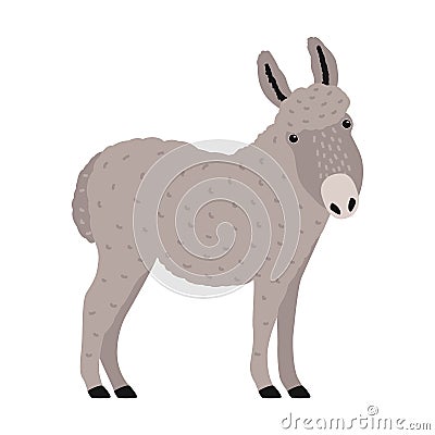 Amusing grey donkey, or burro isolated on white background. Portrait of adorable cartoon domestic working animal Vector Illustration