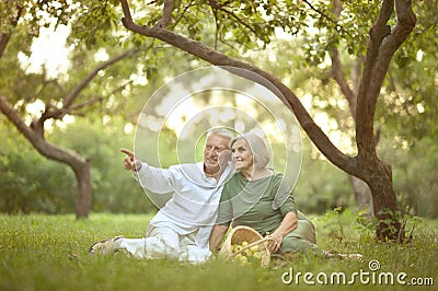 Amusing old couple on picnic Stock Photo