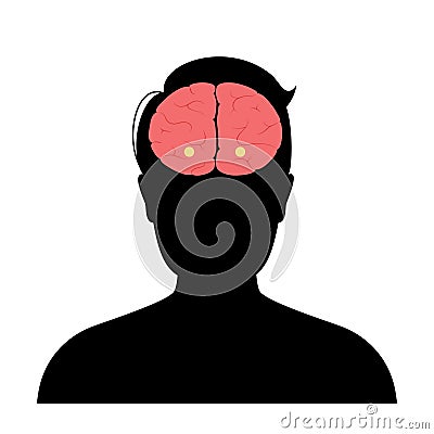 Brain amygdala anatomy Vector Illustration