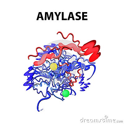 Amylase is a molecular chemical formula. Enzyme of the pancreas. Infographics. Vector illustration on isolated background Vector Illustration