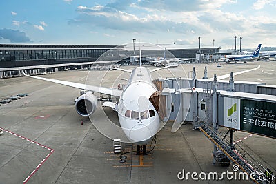 An ANA airplane loading off its passengers and cargo at Narita International Airport Editorial Stock Photo