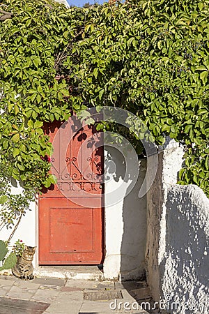 Anafiotika, scenic tiny neighborhood of Athens, part of the old historical district Plaka, narrow streets, Athens, Greece Stock Photo