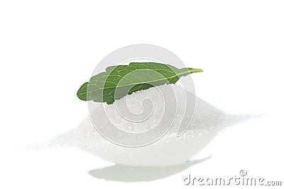 Analogue of sugar stevia leaf sweetener Stock Photo